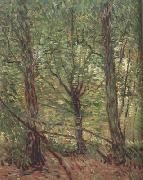 Vincent Van Gogh Trees adn Undergrowth (nn04) oil